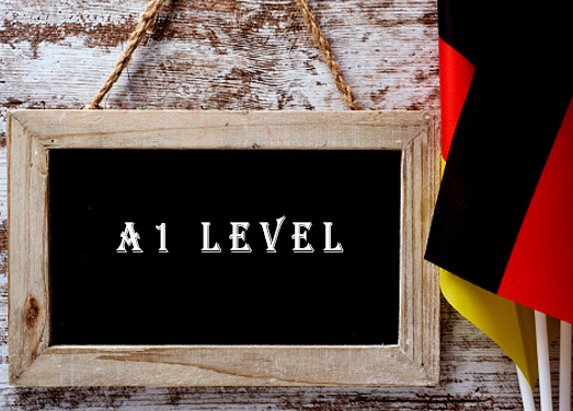 A1 level course